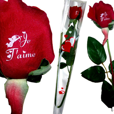 Pour tout les amoureux